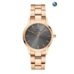 Dw Iconic Watches On Sale 15 Colors (15)