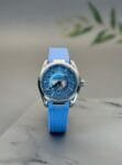 Omega Seamaster Aqua Terra Watch