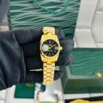 Rolex Datejust 2023 Collection Watch 12 Colors (12)