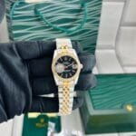 Rolex Datejust 2023 Collection Watch 12 Colors (12)